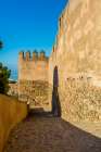 Alcazaba and Castle of Gibralfaro on Mount Malaga above the old town, Malaga, Spain. Art Print